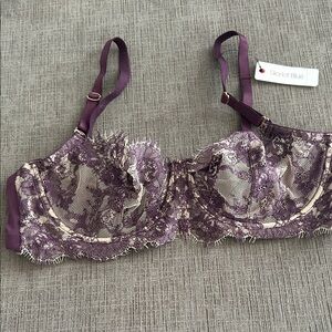 Skarlett Blue Entice Lace Bra 36C Majestic Purple NWT